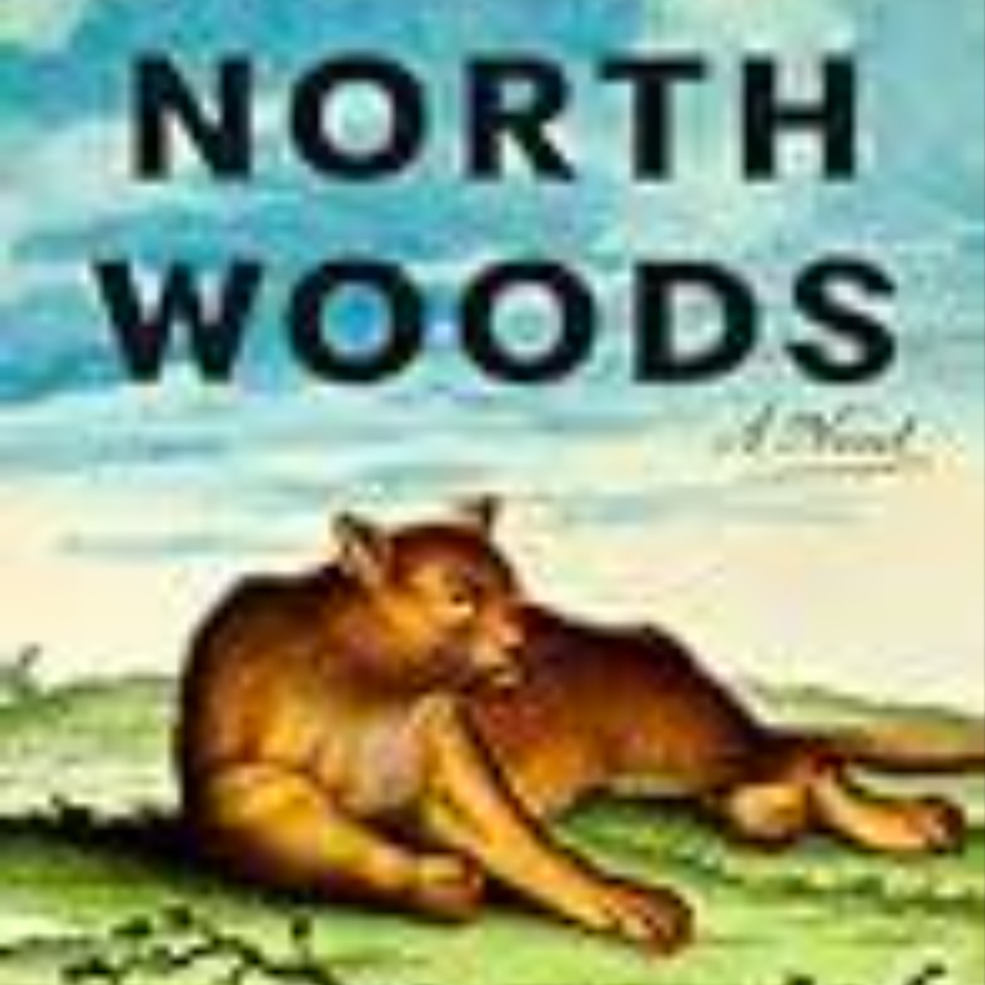 Download Now North Woods by Daniel       Mason