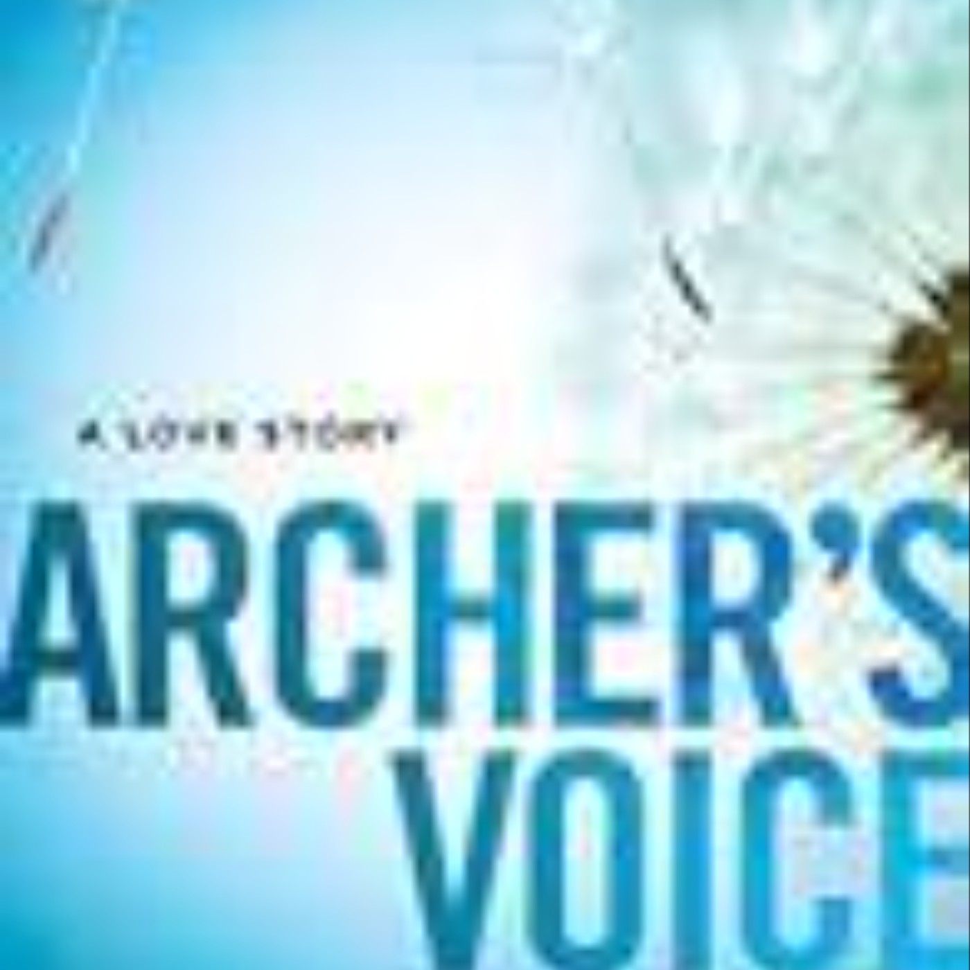 Download Now Archer's Voice by Mia Sheridan