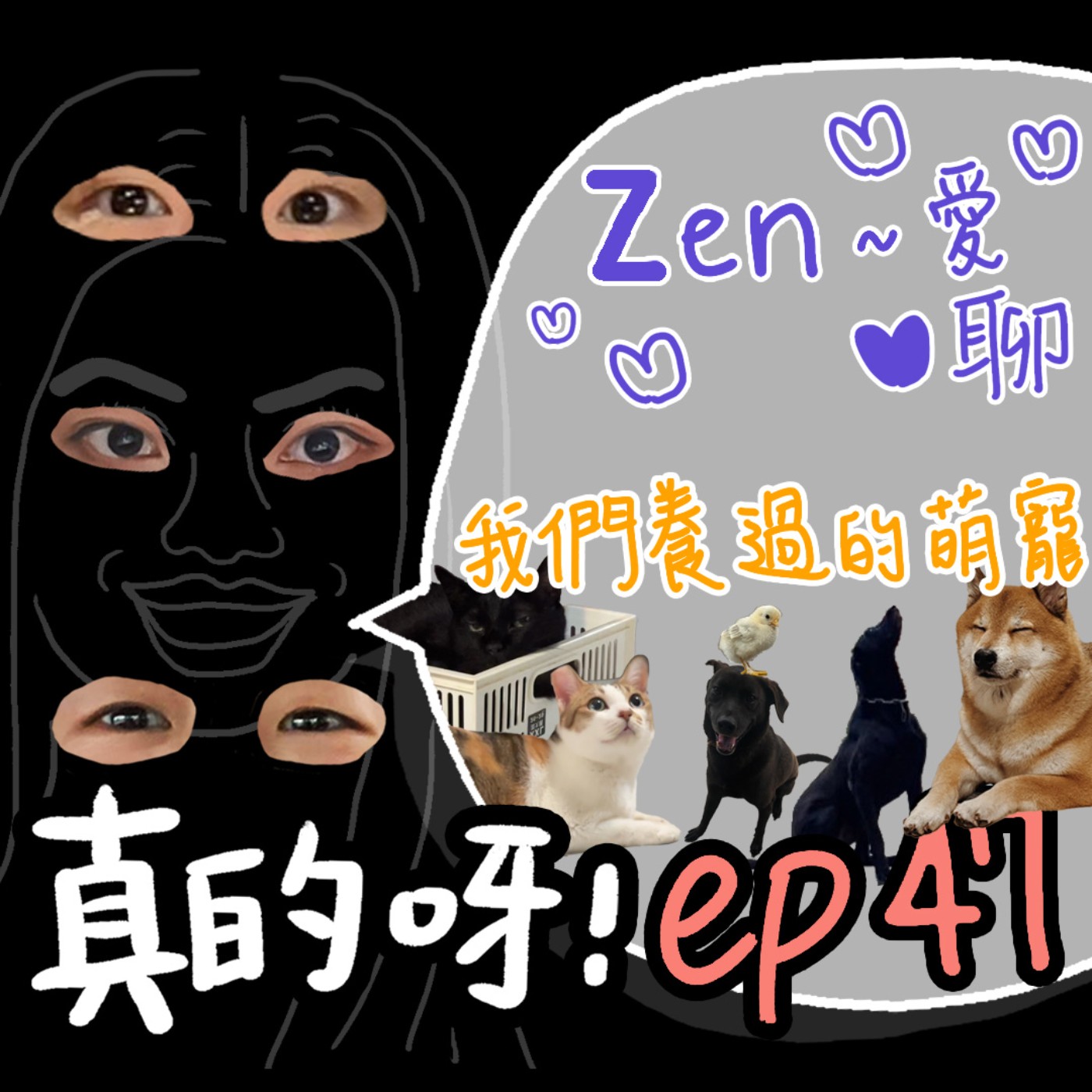 EP47 Zen~愛聊 ✿ 我們的萌寵日記