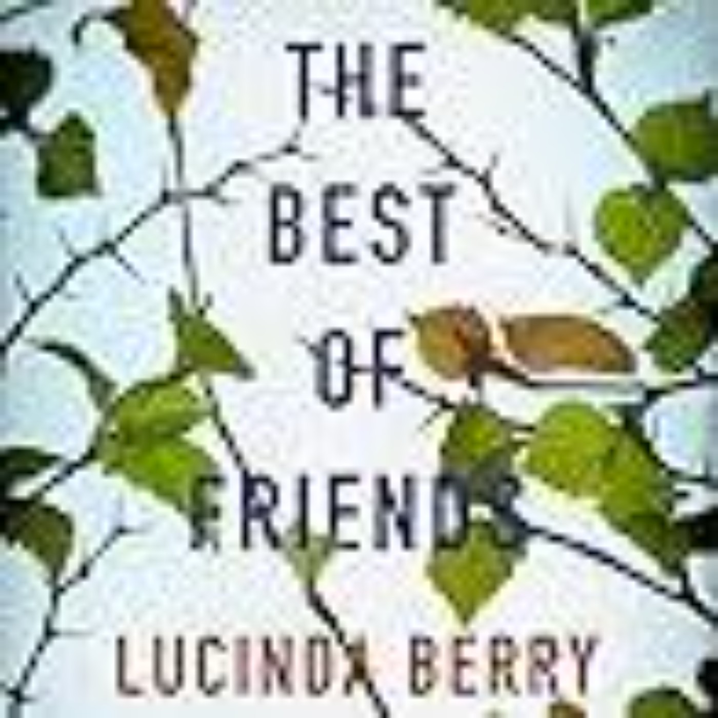 Get The Best of Friends by Lucinda Berry