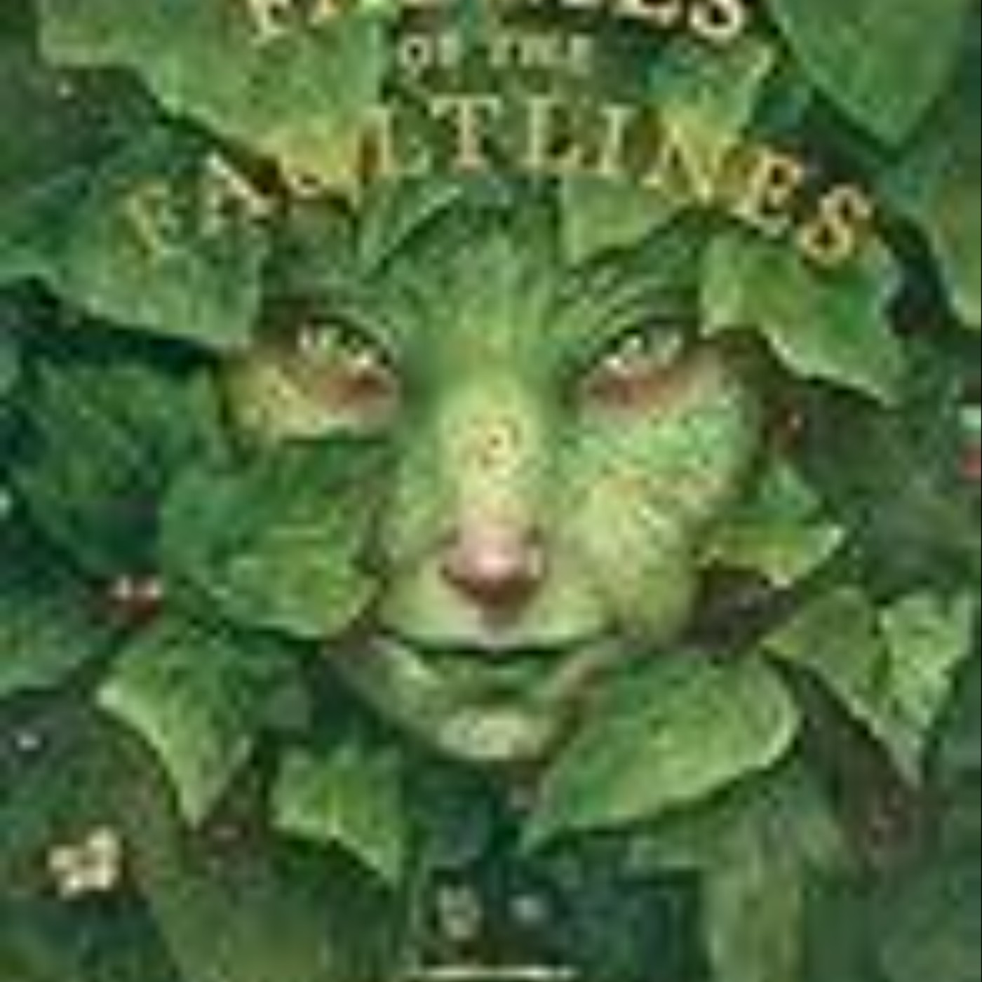 Download Now Faeries of the Faultlines by Iris Compiet