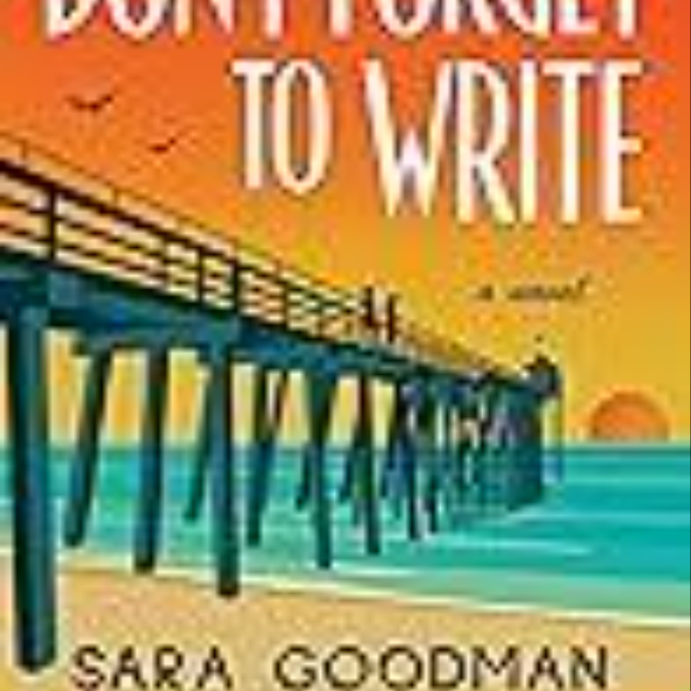 Download Now Don?t Forget to Write by Sara Goodman Confino