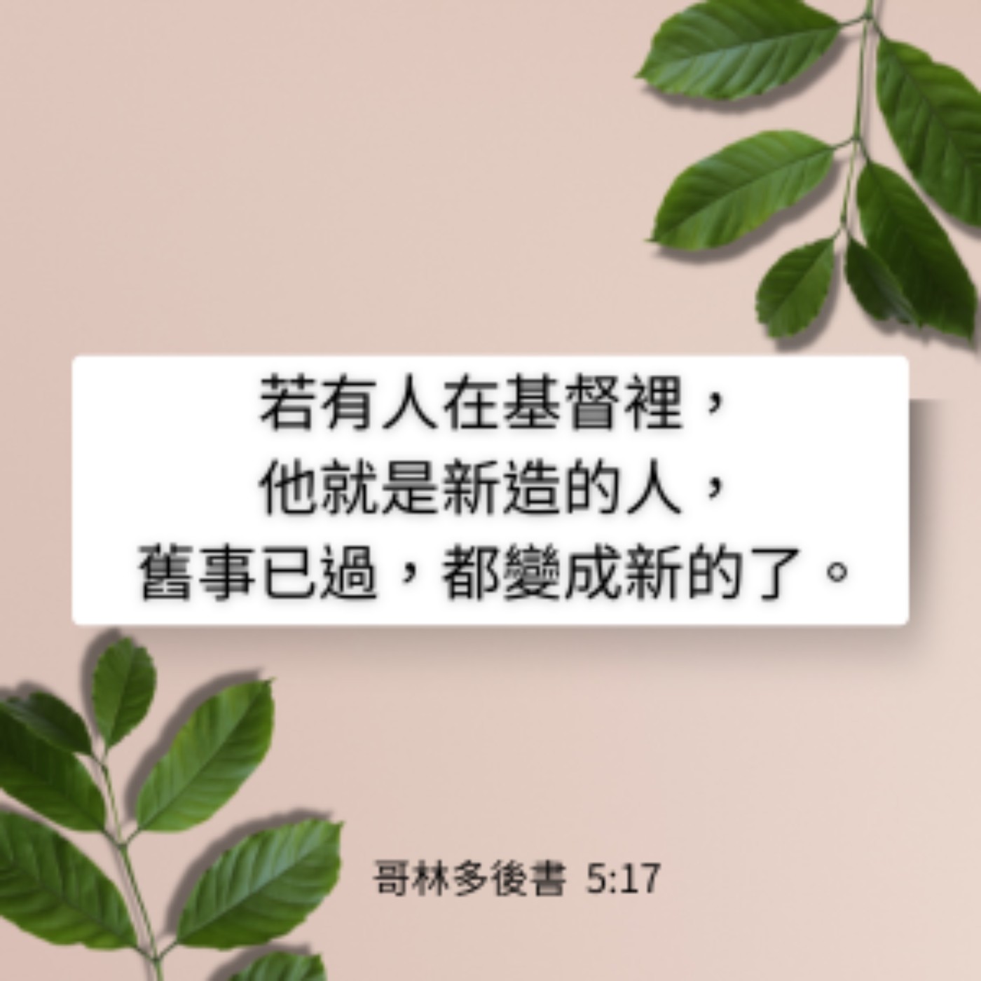 歌林多後書 第5章11-21節 episode artwork