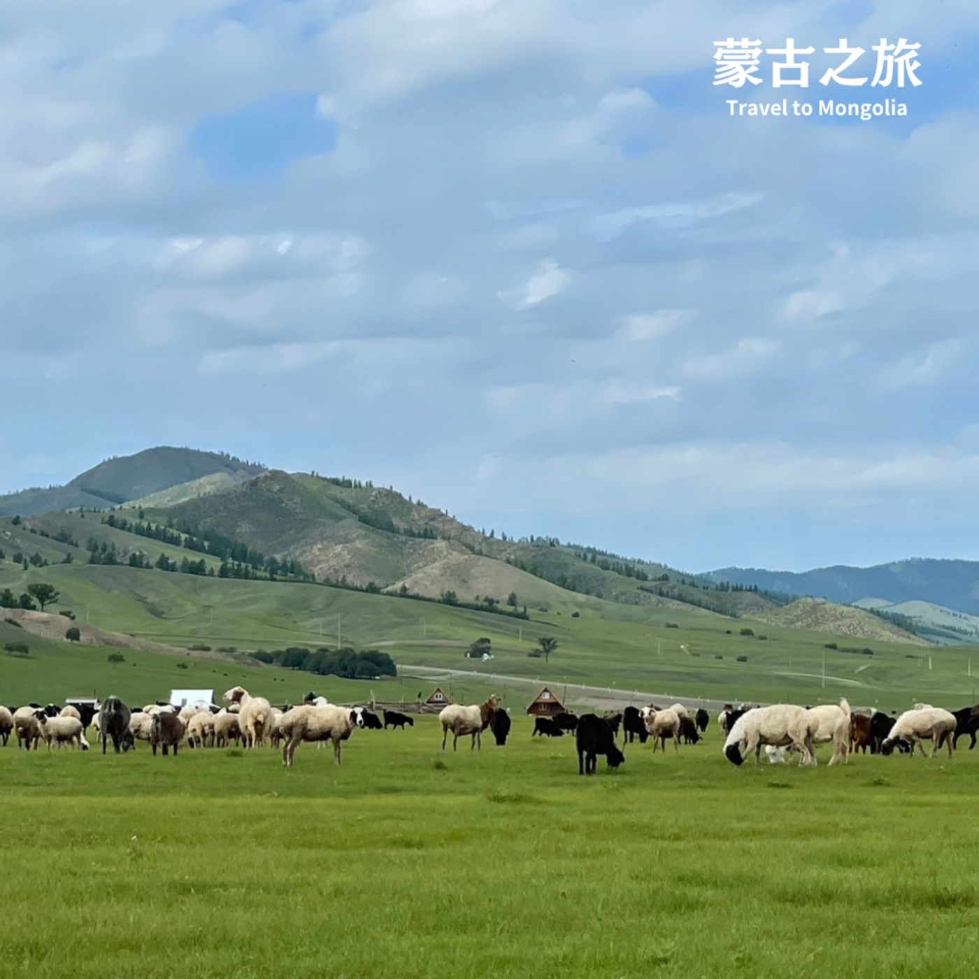 E75 到蒙古國冒險去 🌿 天蒼蒼野茫茫，一起踏上肉與奶的國度 🐐🐑  (上)