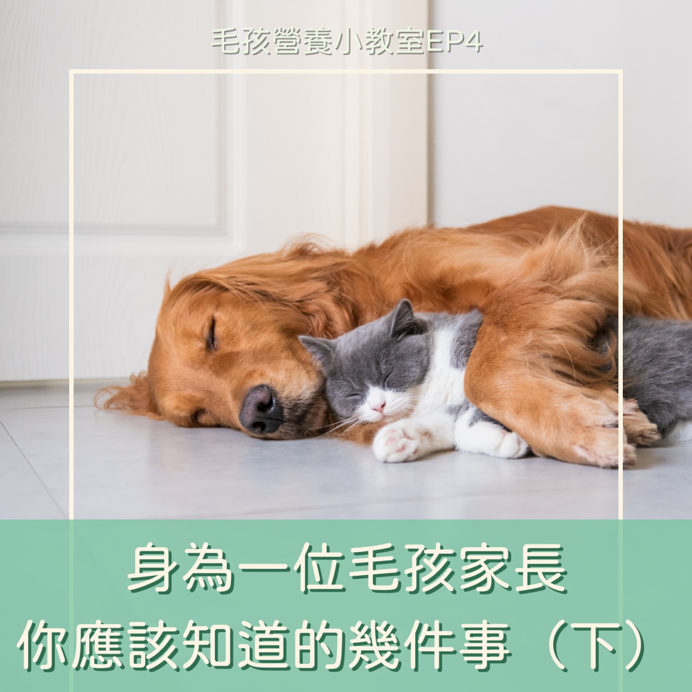 EP4. 身為一位毛孩家長，你應該知道的幾件事（下）