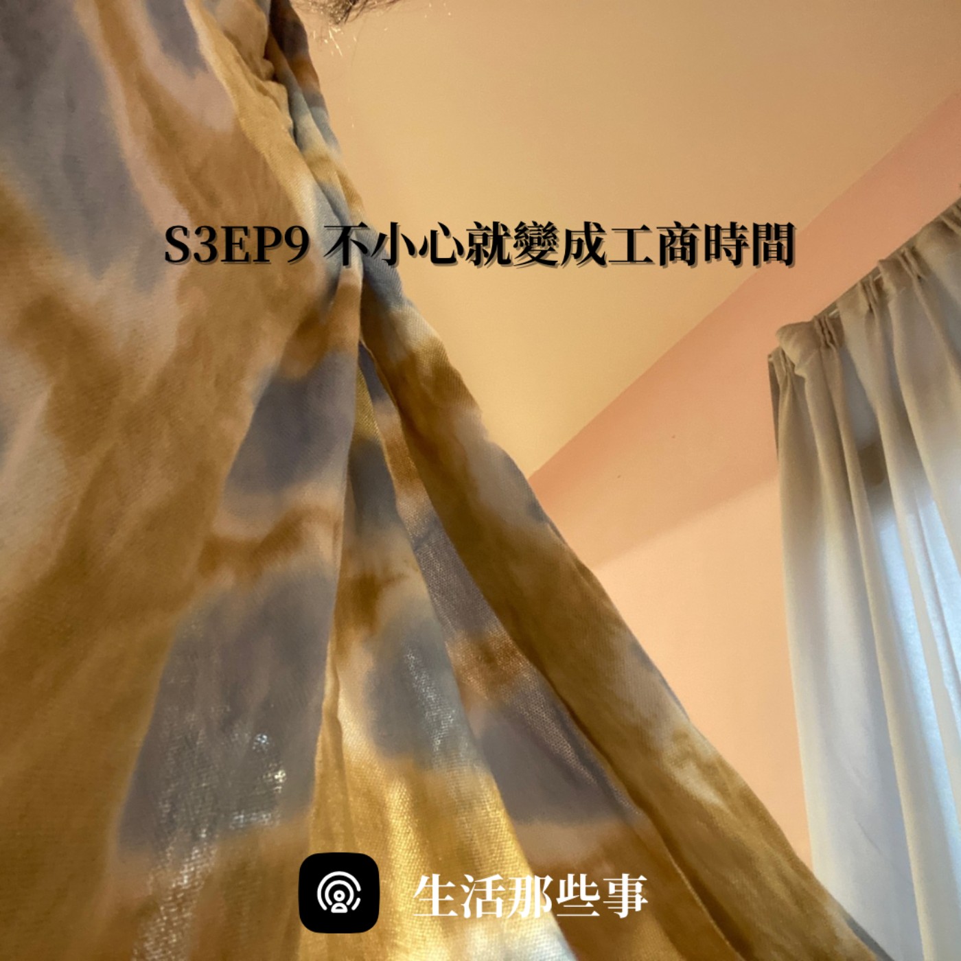 S3EP9 不小心就變成工商時間了 episode artwork