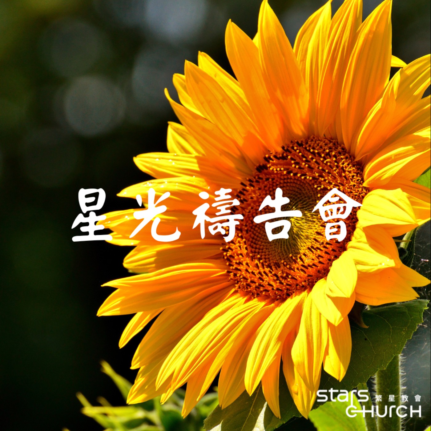 打開屬靈的視野-持守仰望 episode artwork