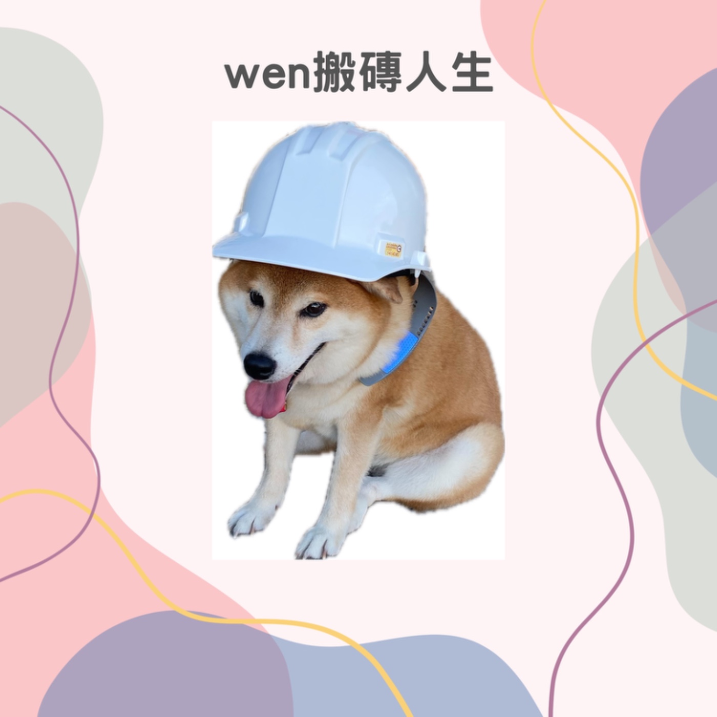 wen的搬磚人生