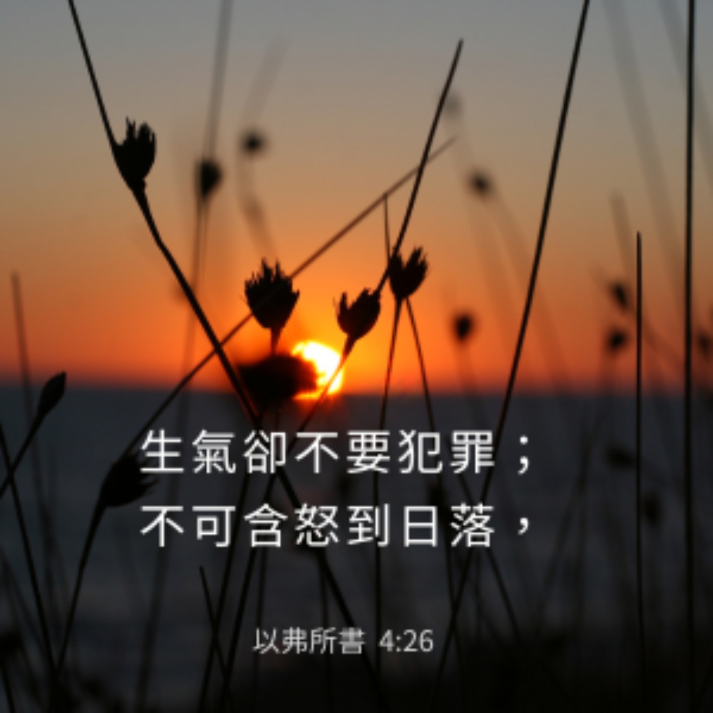 以弗所書 4章25節-5章5節 episode artwork