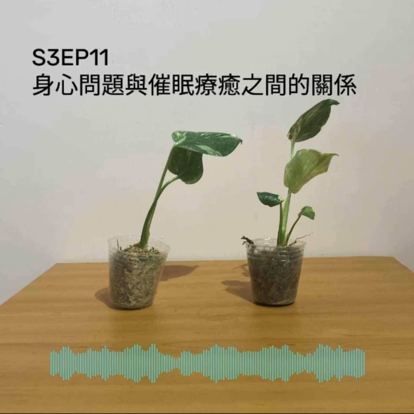 S3EP11 身心問題與催眠療癒之間的關係 episode artwork