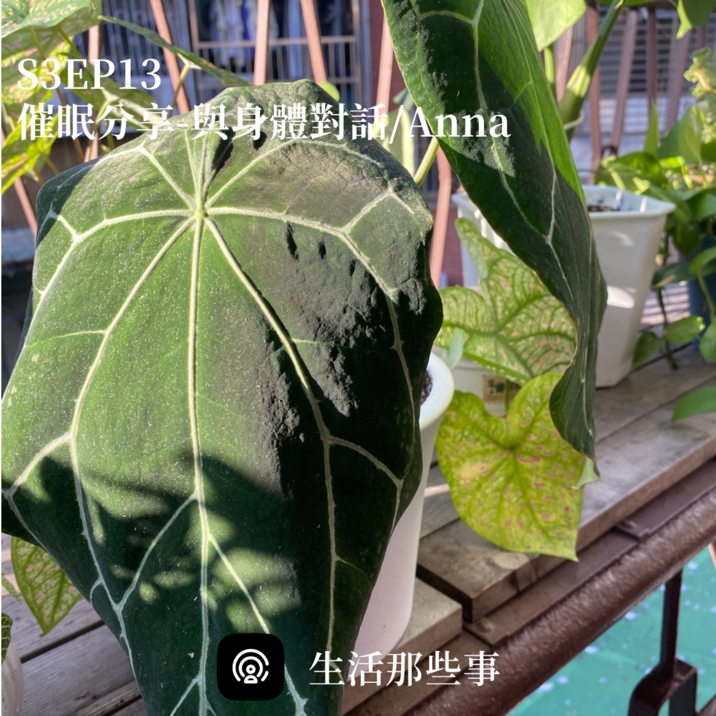 生活那些事｜旅行、催眠、潛意識、情緒陪跑、自我覺察｜