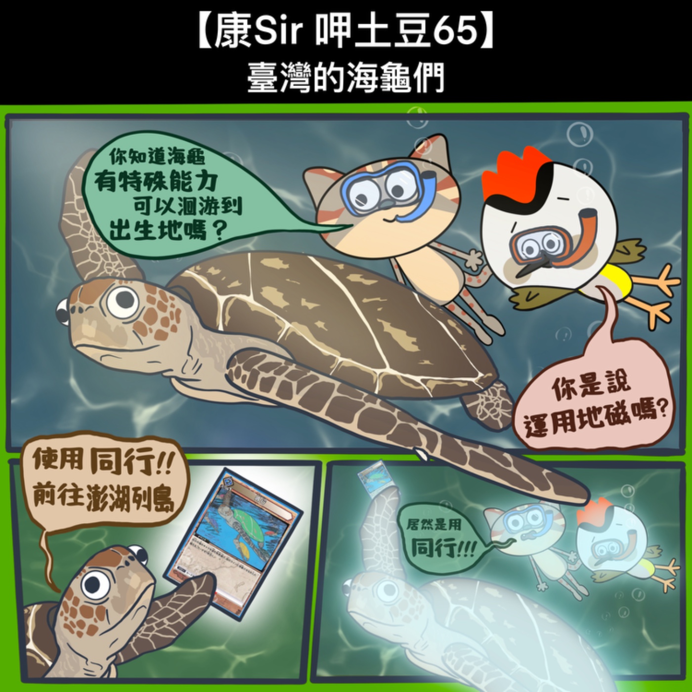 【康Sir呷土豆 65】臺灣的海龜們 episode artwork