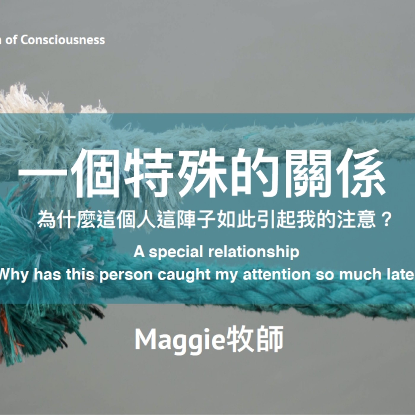 意識省察-一個特殊的關係 episode artwork