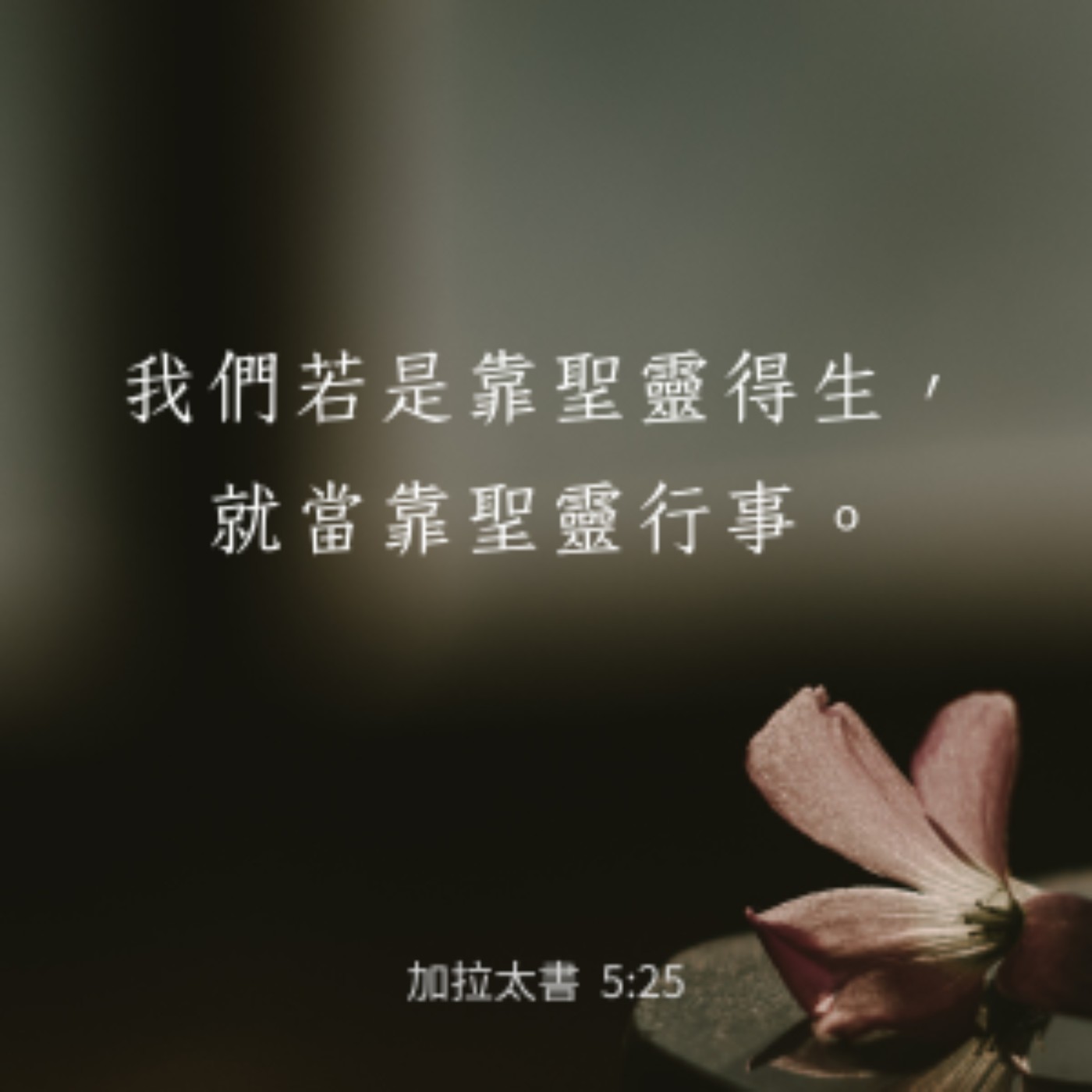 加拉太書 5章19-26節 episode artwork