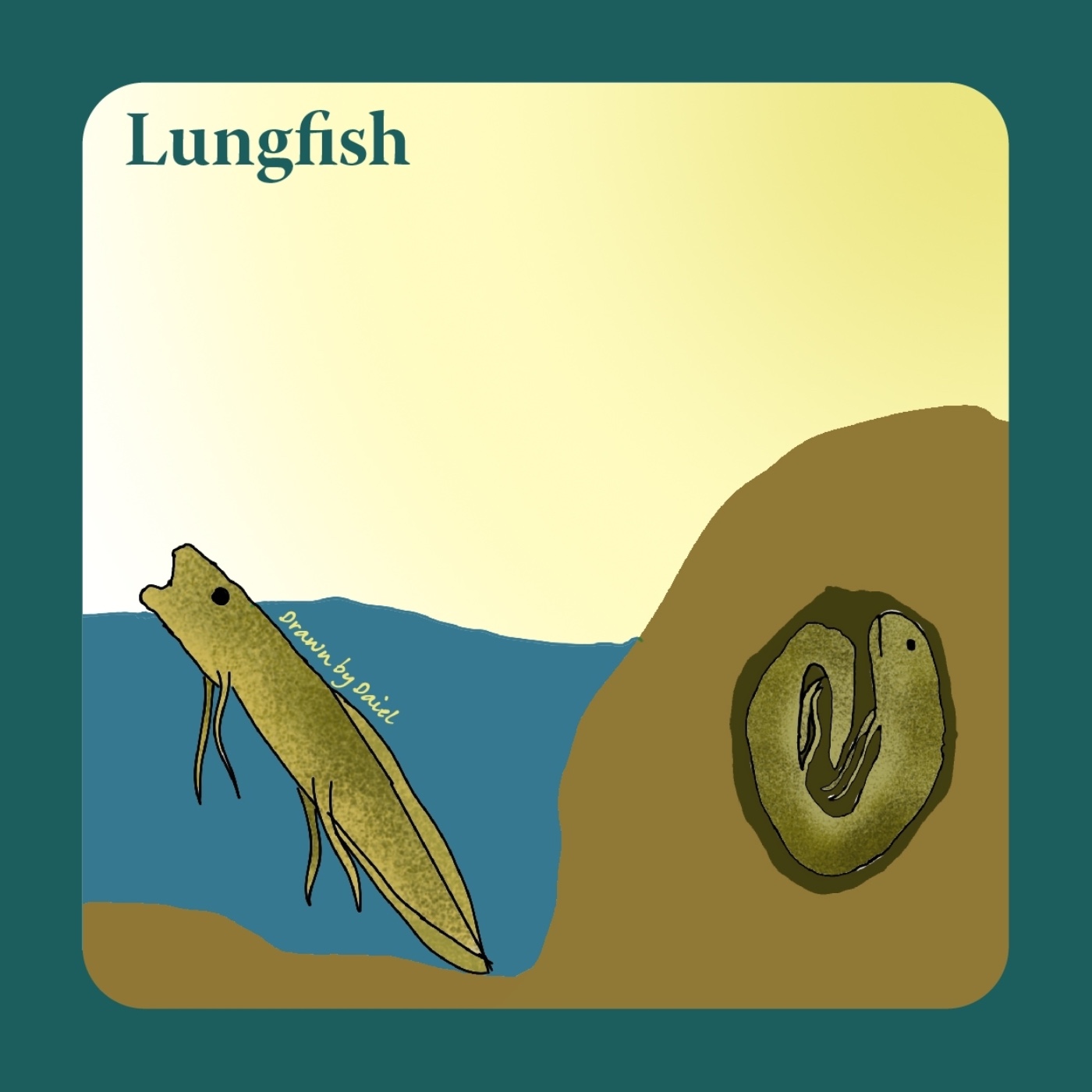 EP46 會夏眠的肺魚