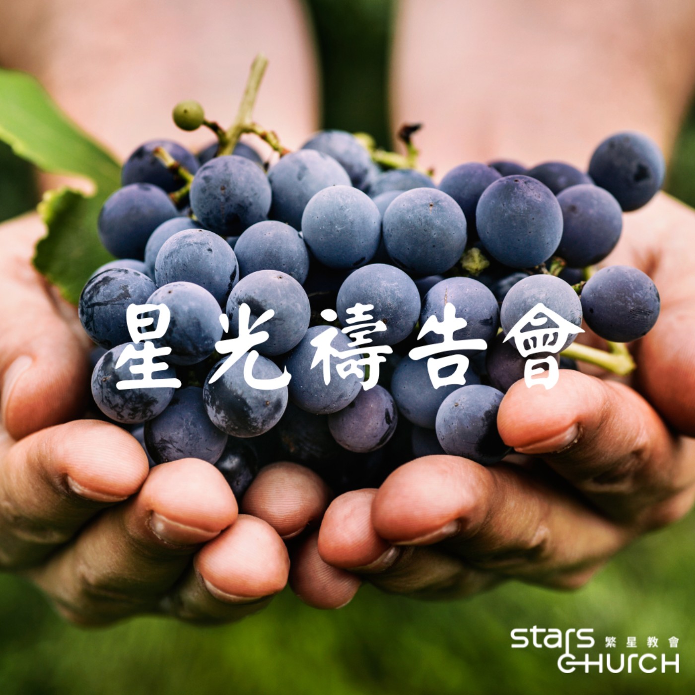 感恩的大能-感恩的翻轉大能 episode artwork