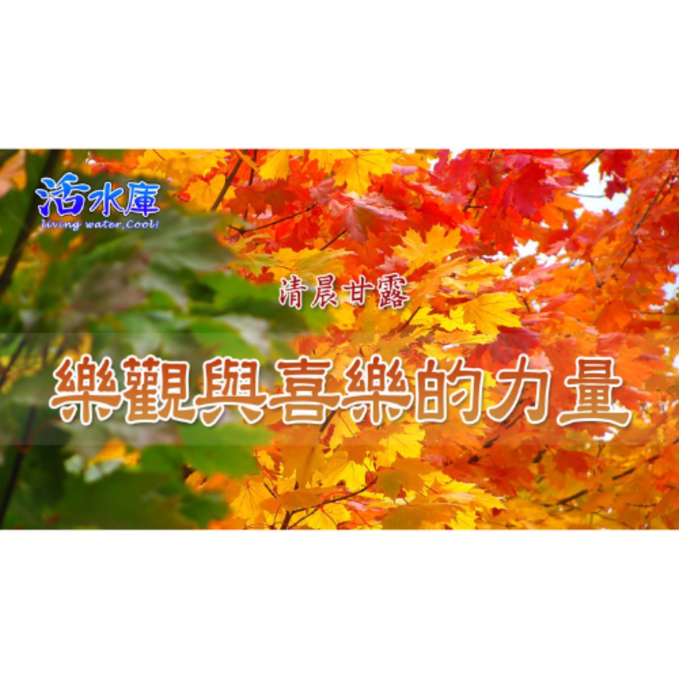 樂觀與喜樂的力量｜讓神的喜樂充滿你的生命