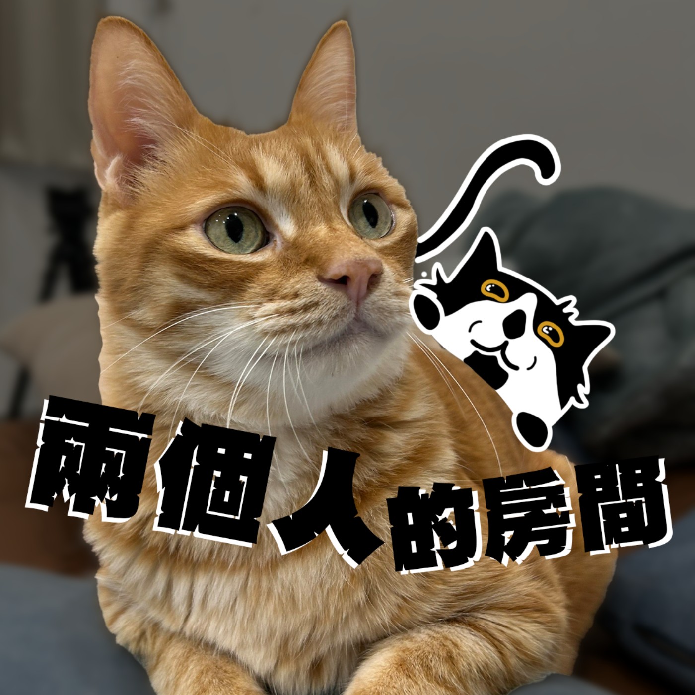 兩個人的房間｜EP5｜找不到自己的生活重心怎麼辦？無法和人建立感情是不是就是自私的人？ 關禾with小怪 episode artwork