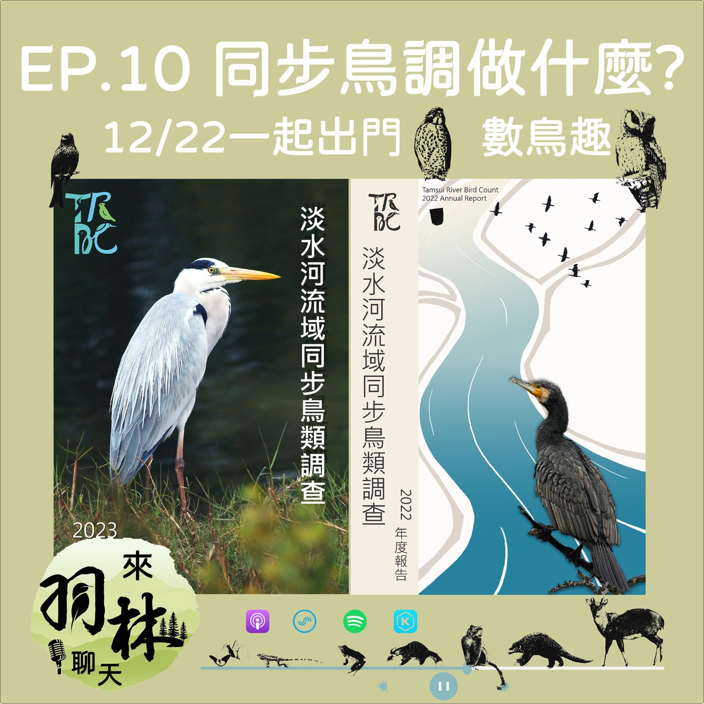 來羽林聊天 EP.10 黑面琵鷺的數量是怎麼數出來的？/同步鳥調怎麼做？/菜鳥可以怎麼入門？/快來參加TRBC吧！ episode artwork