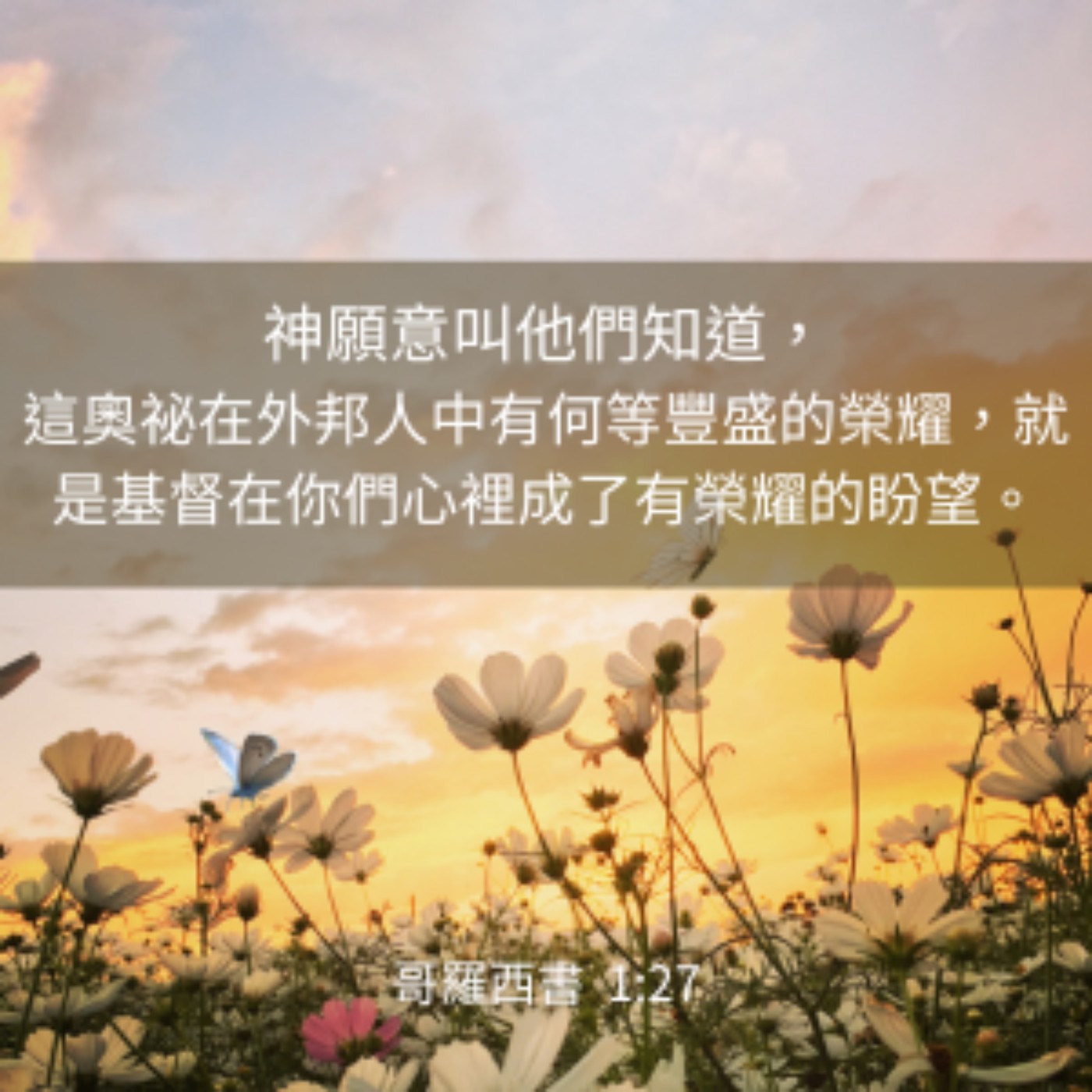哥羅西書 1:24-29 episode artwork