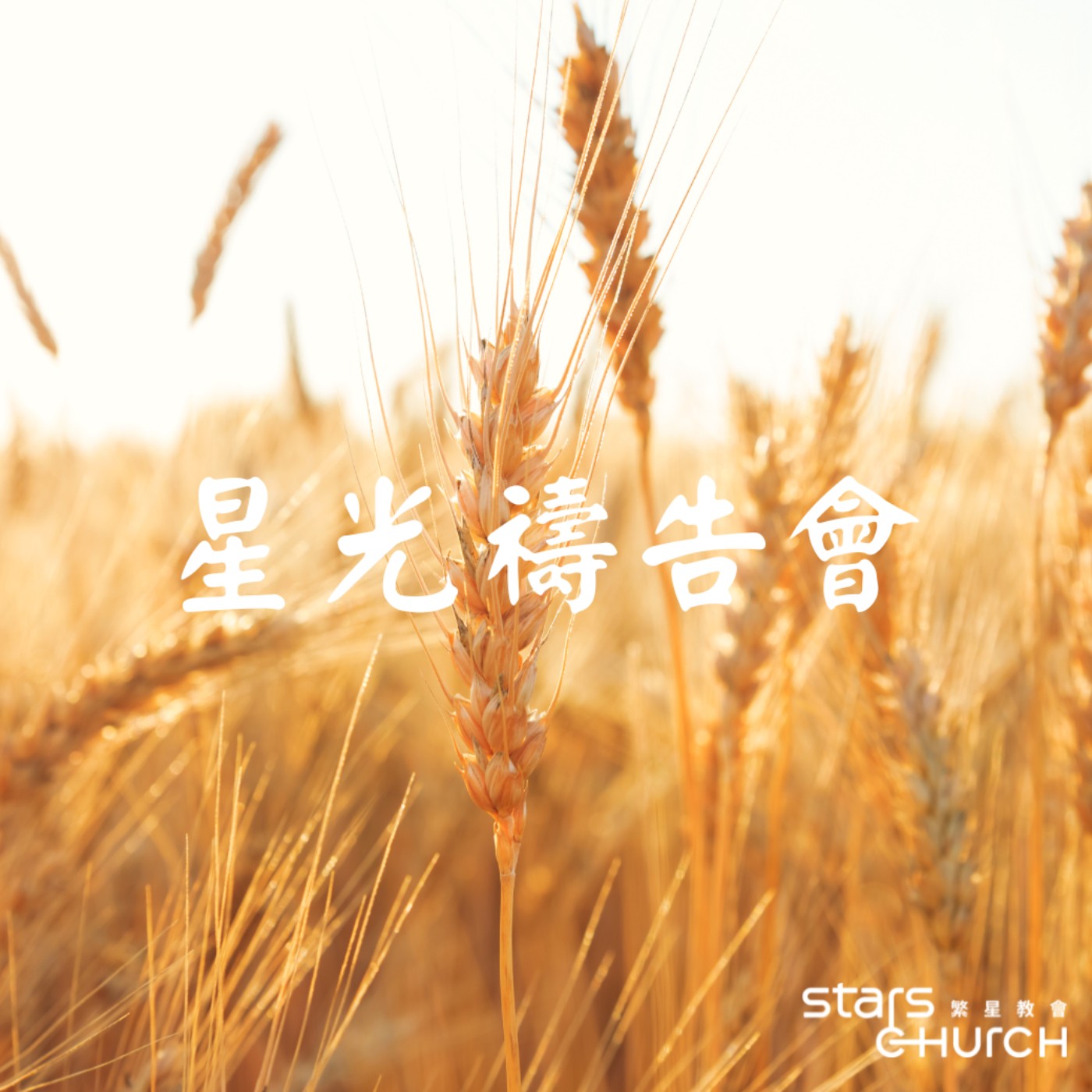 感恩的大能-感恩的複利效應 episode artwork
