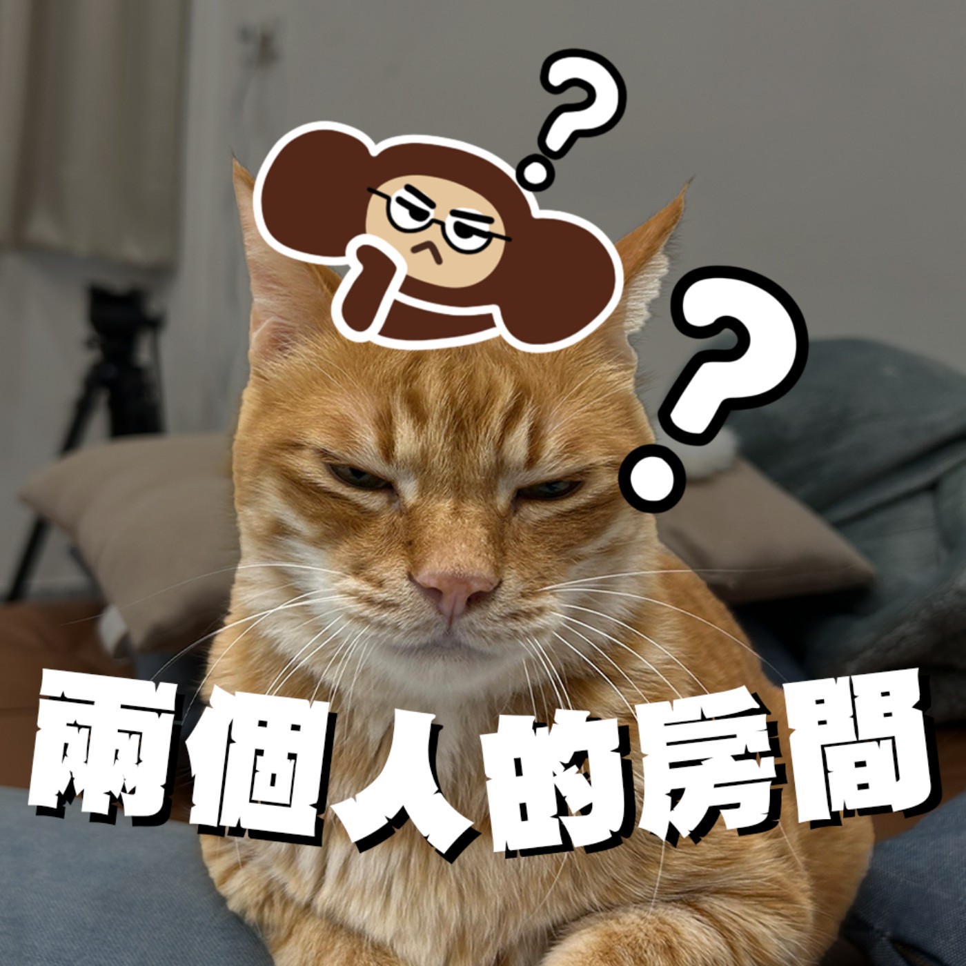 兩個人的房間｜EP6｜到底怎樣才算是情勒？別被帶風向，在風勢強勁時逆風才會看得更遠！ 關禾with查布 episode artwork
