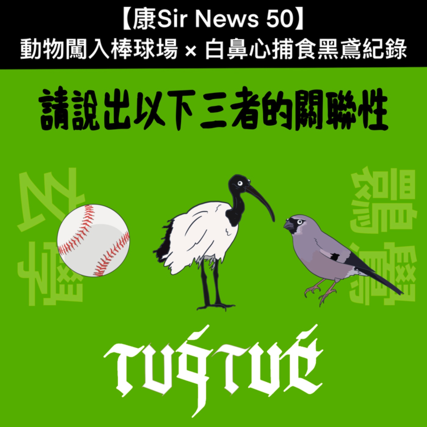 【康Sir News 50】動物闖入棒球場×白鼻心捕食黑鳶紀錄 episode artwork
