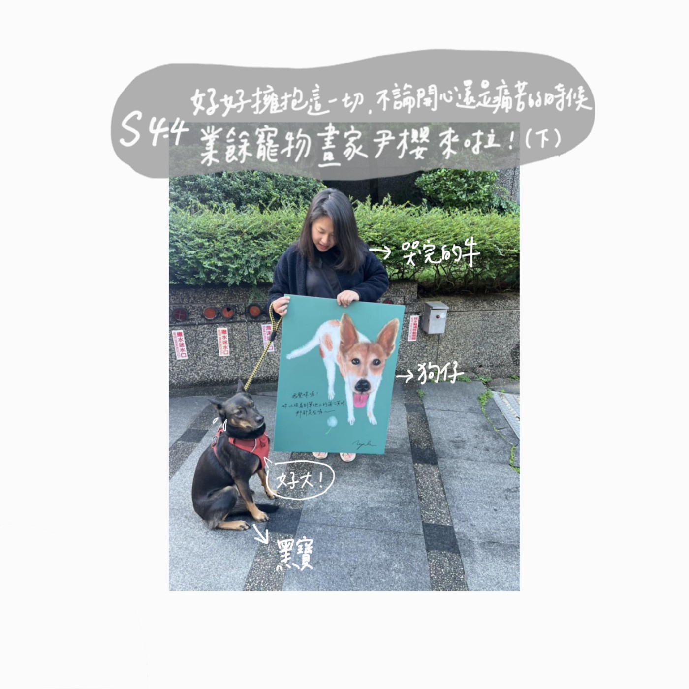 S4 EP4：好好擁抱這一切，不論開心還是痛苦的時候--業餘寵物畫家尹櫻來啦！（下） episode artwork
