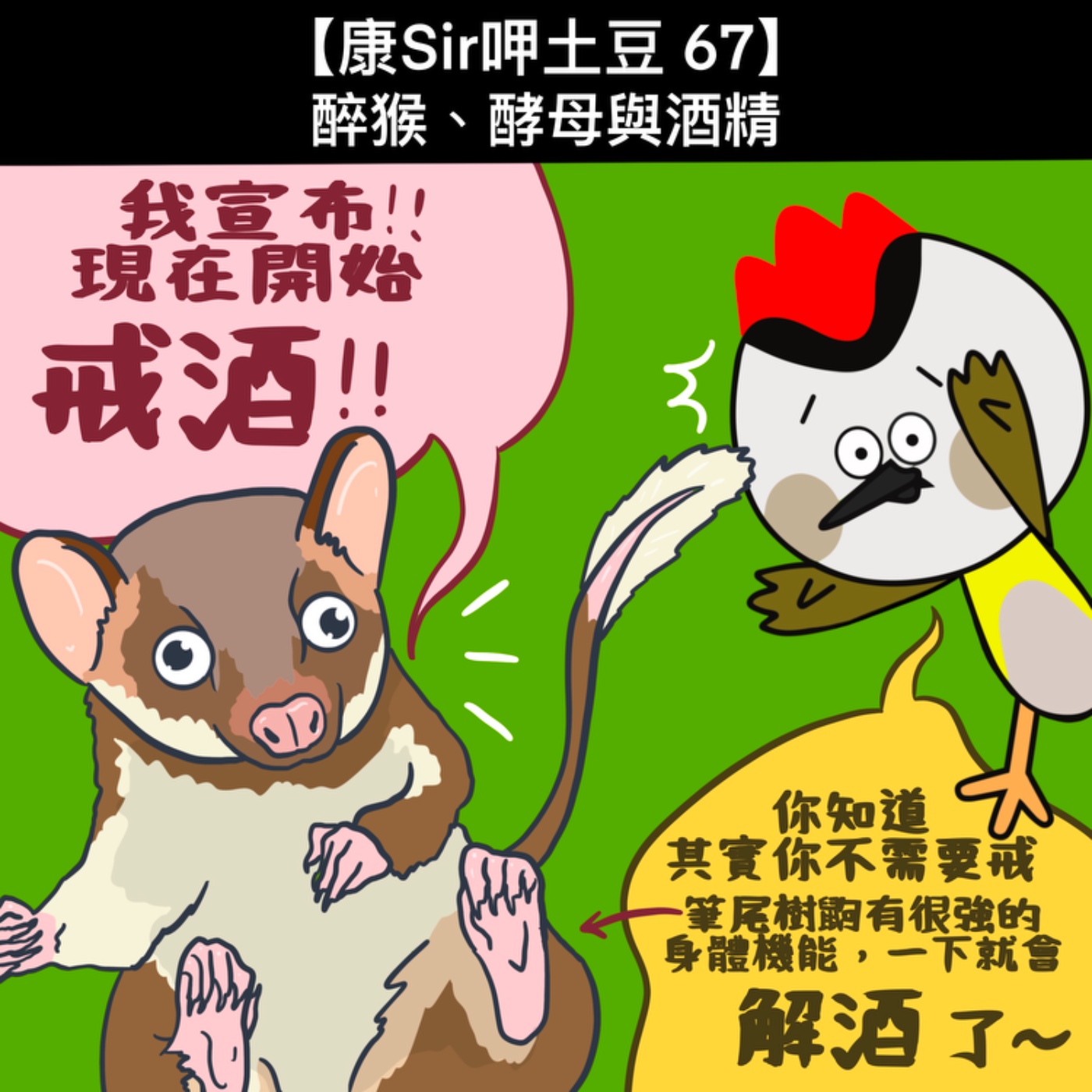【康Sir呷土豆 67】醉猴、酵母與酒精 episode artwork