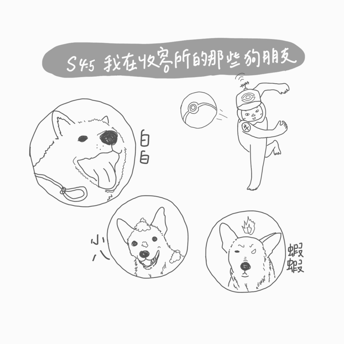 S4 EP5：我在收容所的那些狗朋友 episode artwork
