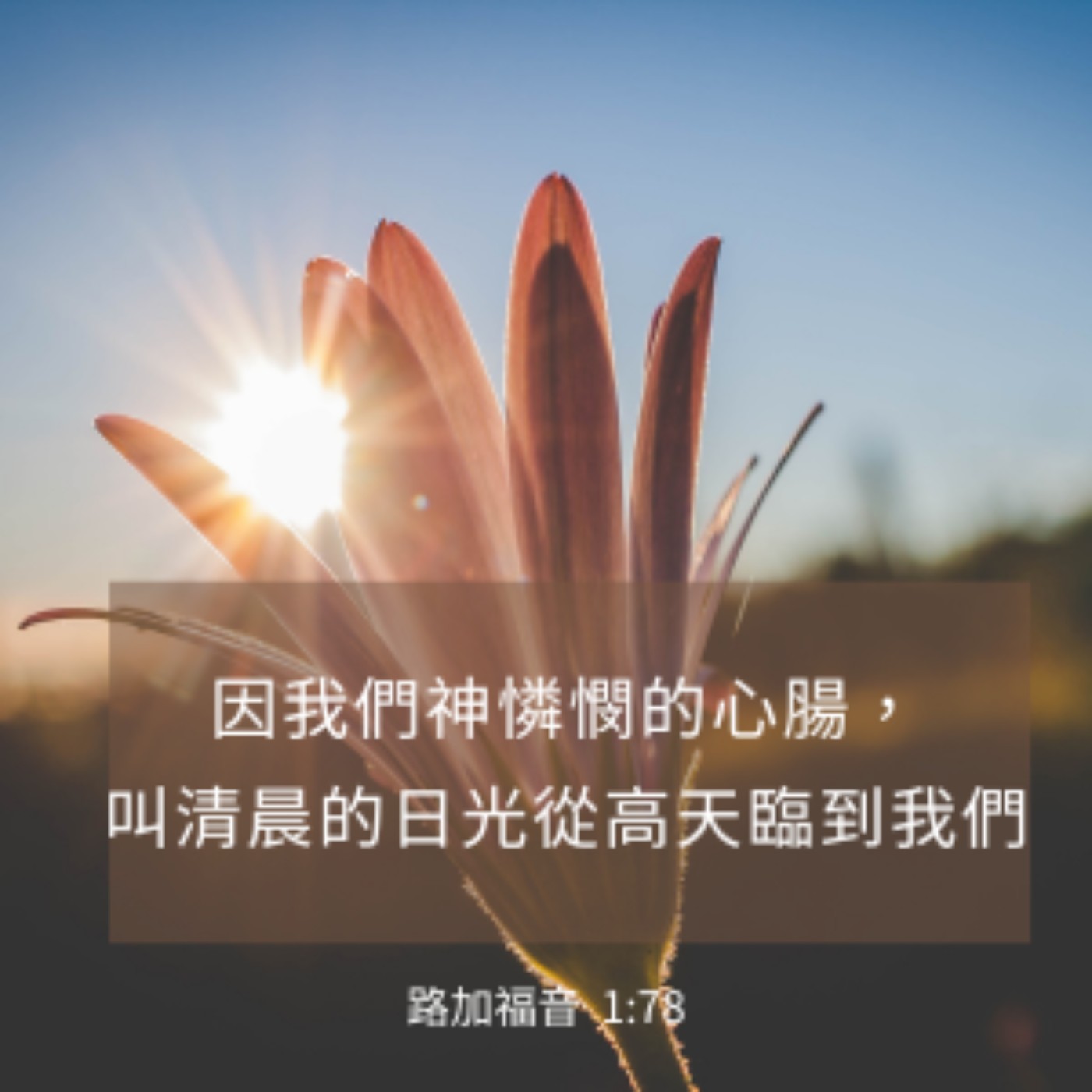 路加福音 1:57-80 episode artwork