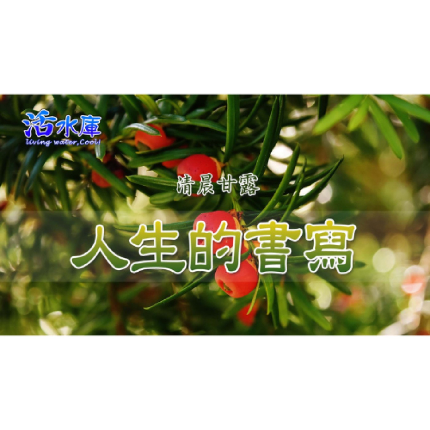 人生的書寫｜讓神的恩典編織美好篇章