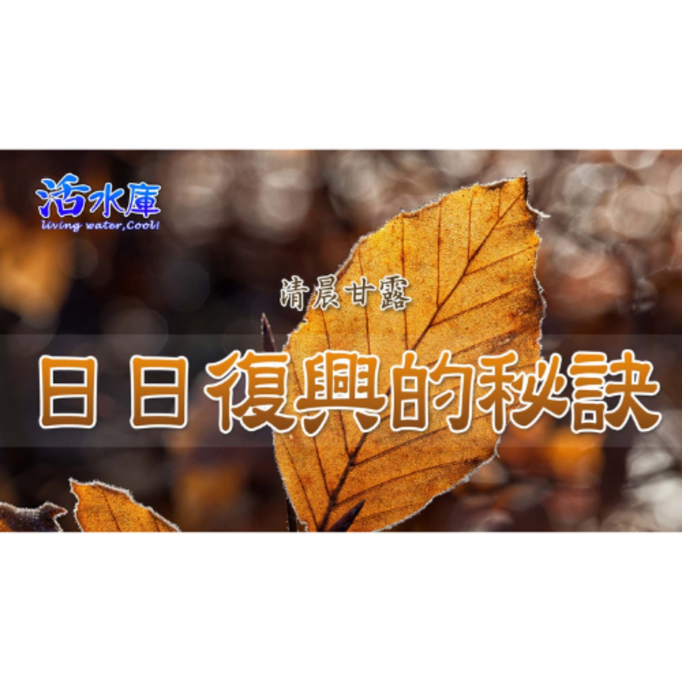 日日復興的秘訣｜珍惜早晨的時光，活出得勝的生活