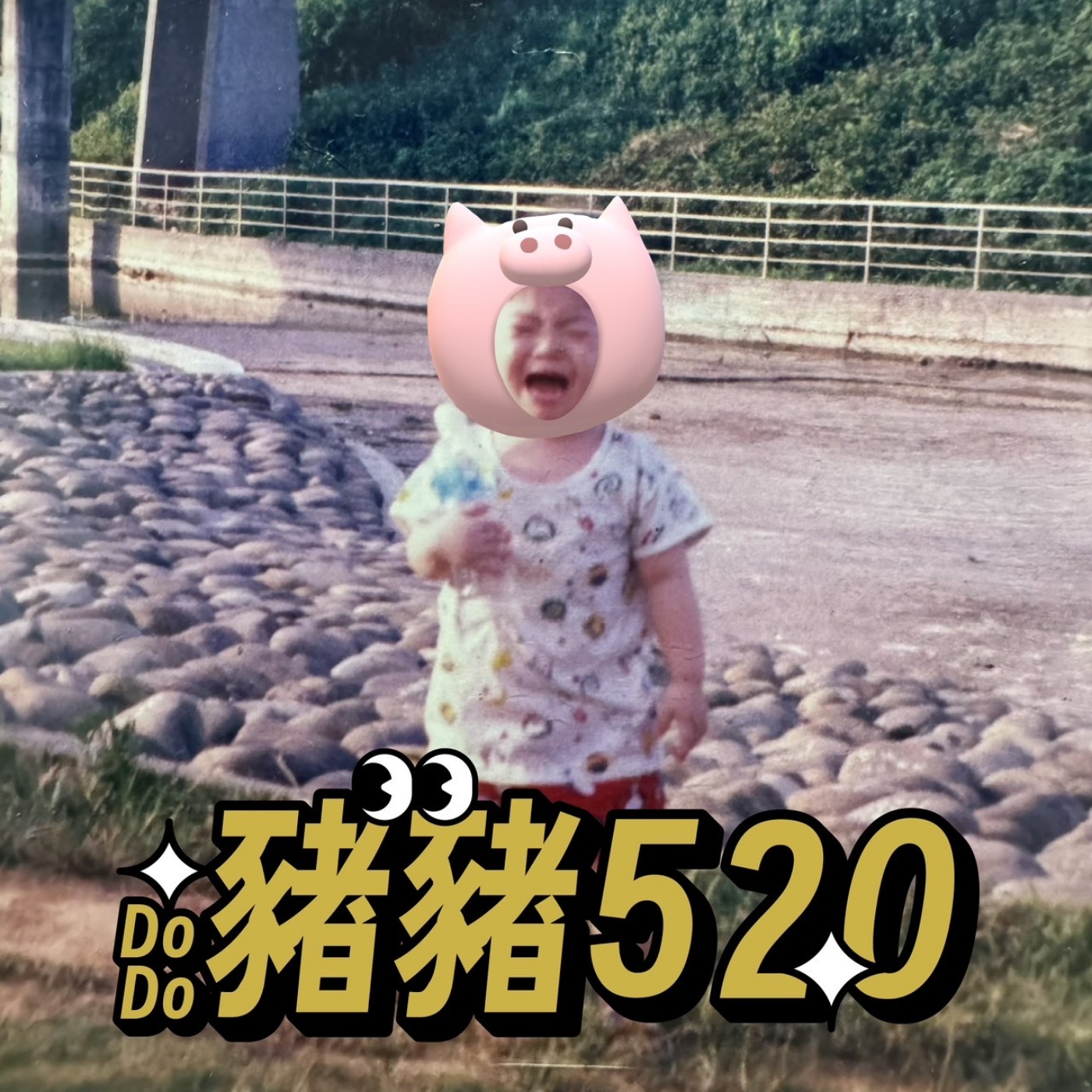 豬豬520
