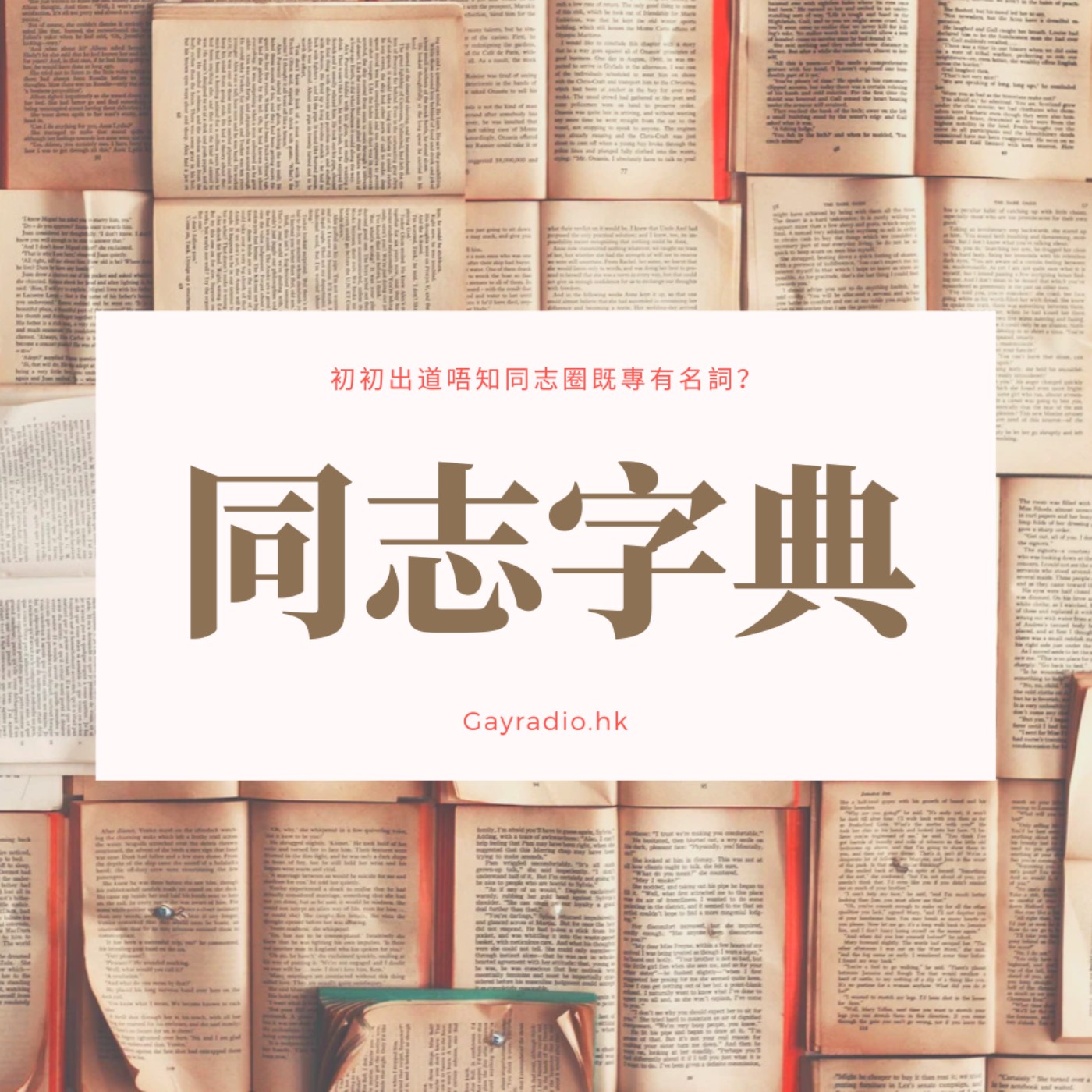 同志字典