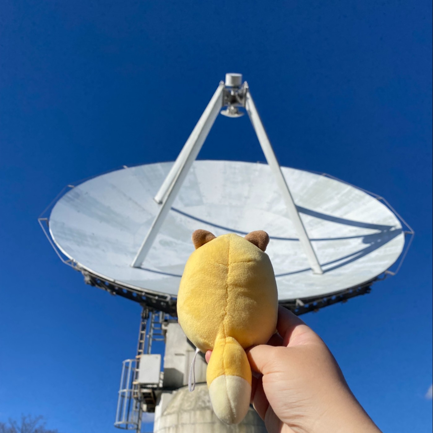 24我比柯南還要早到那邊!捐血x尾瀨x清里 24我比柯南還要早到那邊!捐血x尾瀨x清里