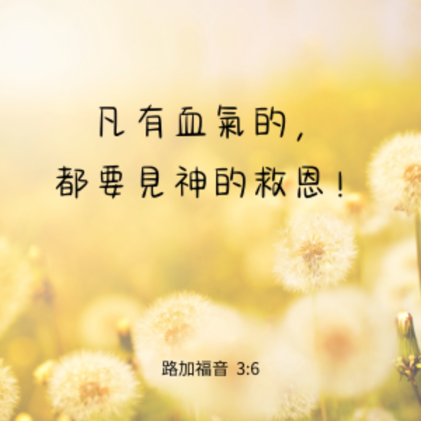 路加福音 3:1-6 episode artwork