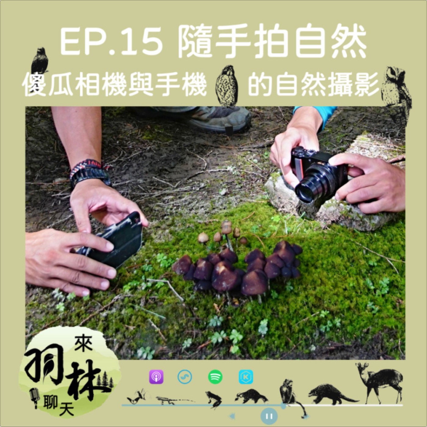 來羽林聊天 EP.15 手機與傻瓜相機拍自然/年終獎金還沒想好怎麼花嗎？點進來聽就對了！ episode artwork