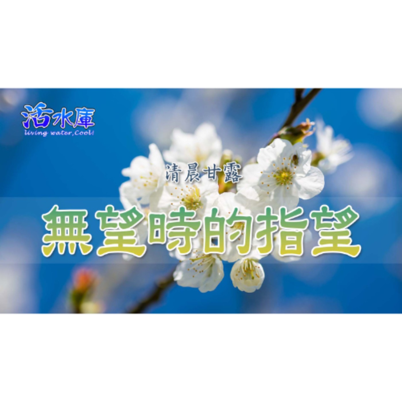 無望時的指望｜別被眼前的困難蒙蔽，用信心看見神的應許