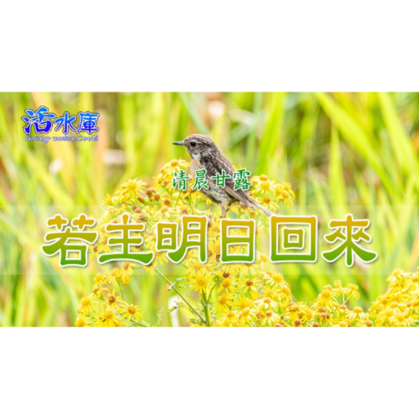 若主明日回來｜得勝者的生活是牽引主心的生活