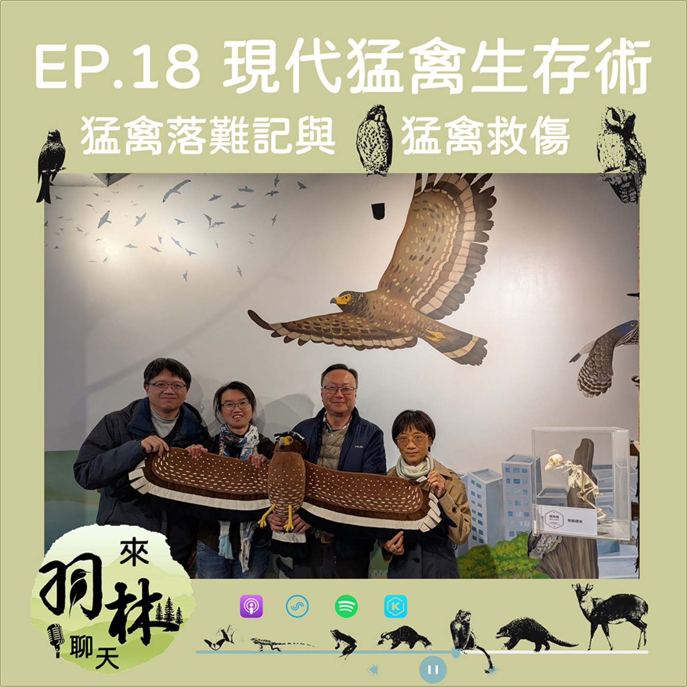 來羽林聊天 EP.18 現代猛禽生存術：認識玻璃、不抓笨老鼠、對抗「複方」老鼠藥 ft. 蔡岱樺 台灣猛禽研究會秘書長 episode artwork