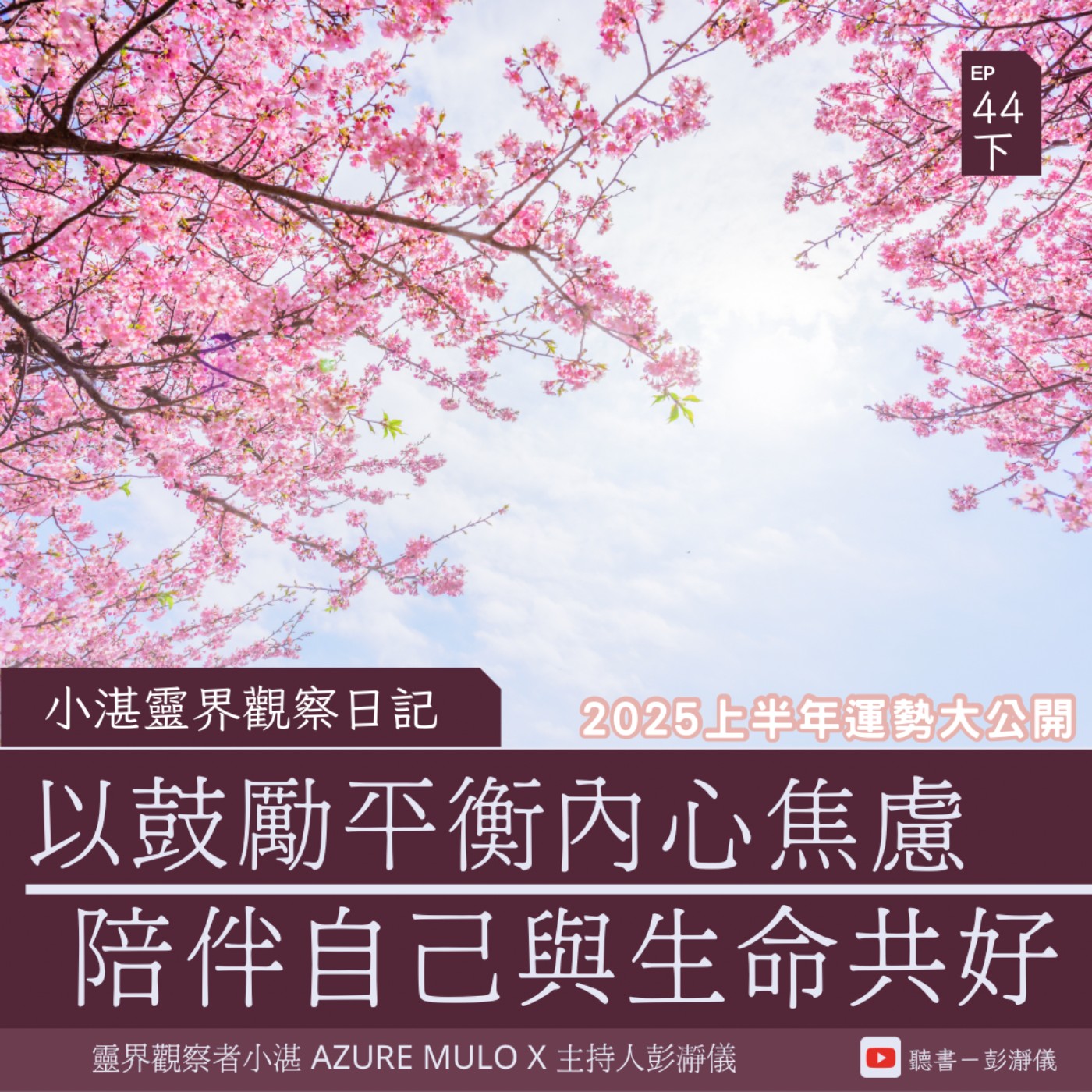 小湛靈界觀察日記 Ep.44 下｜2025 運勢大公開：以鼓勵平衡內心焦慮 陪伴自己與生命共好_靈界觀察者小湛 Azure MuloＸ主持人彭瀞儀 episode artwork