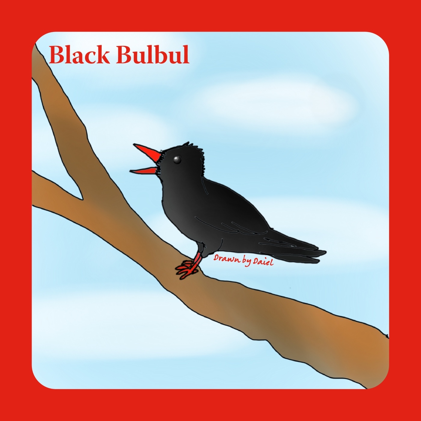 EP52 布農族的神聖動物_紅嘴黑鵯