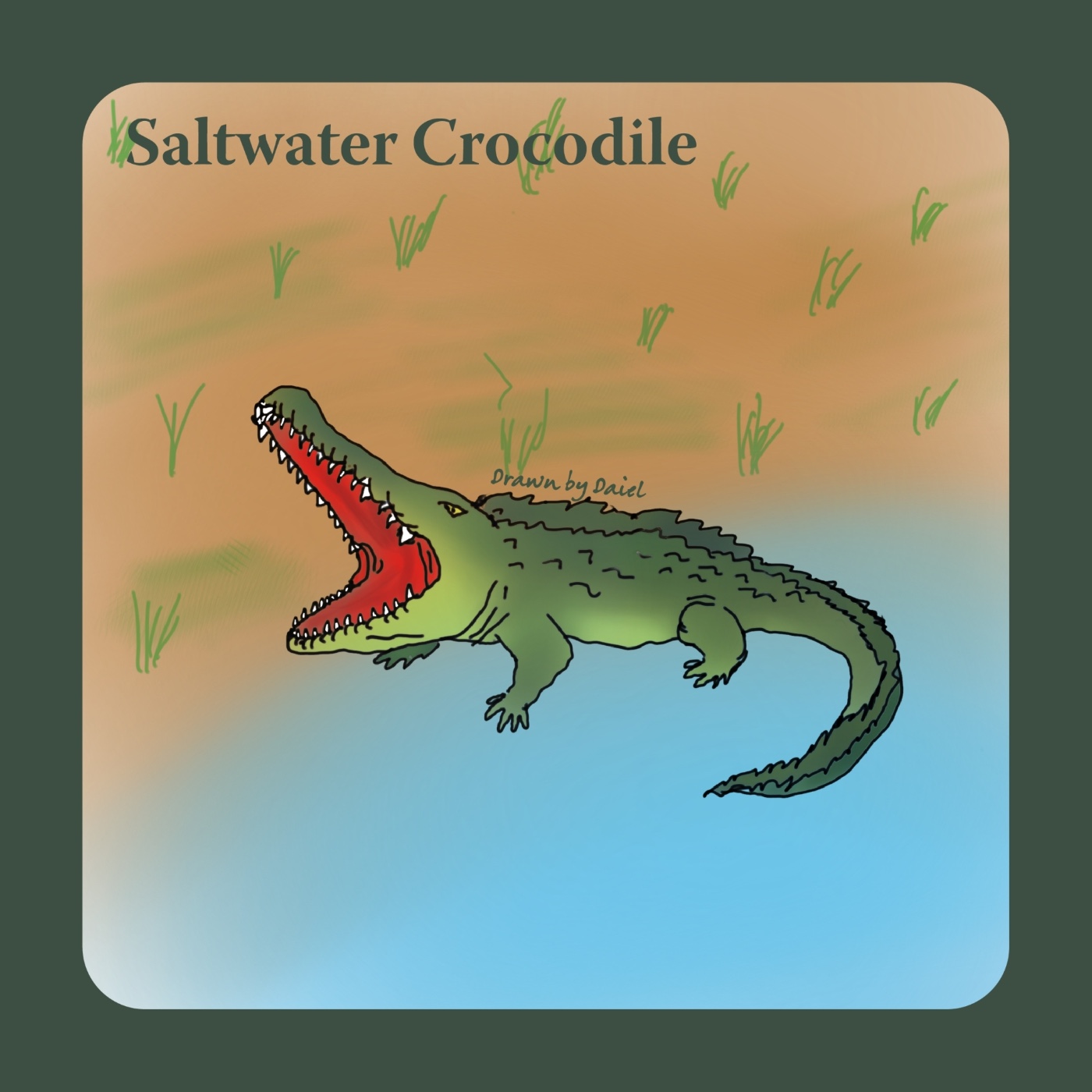 EP53 可怕的冷血灣鱷