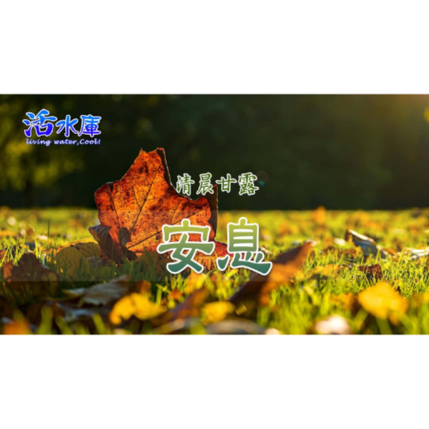 安息｜信心剛強，憂慮得釋放