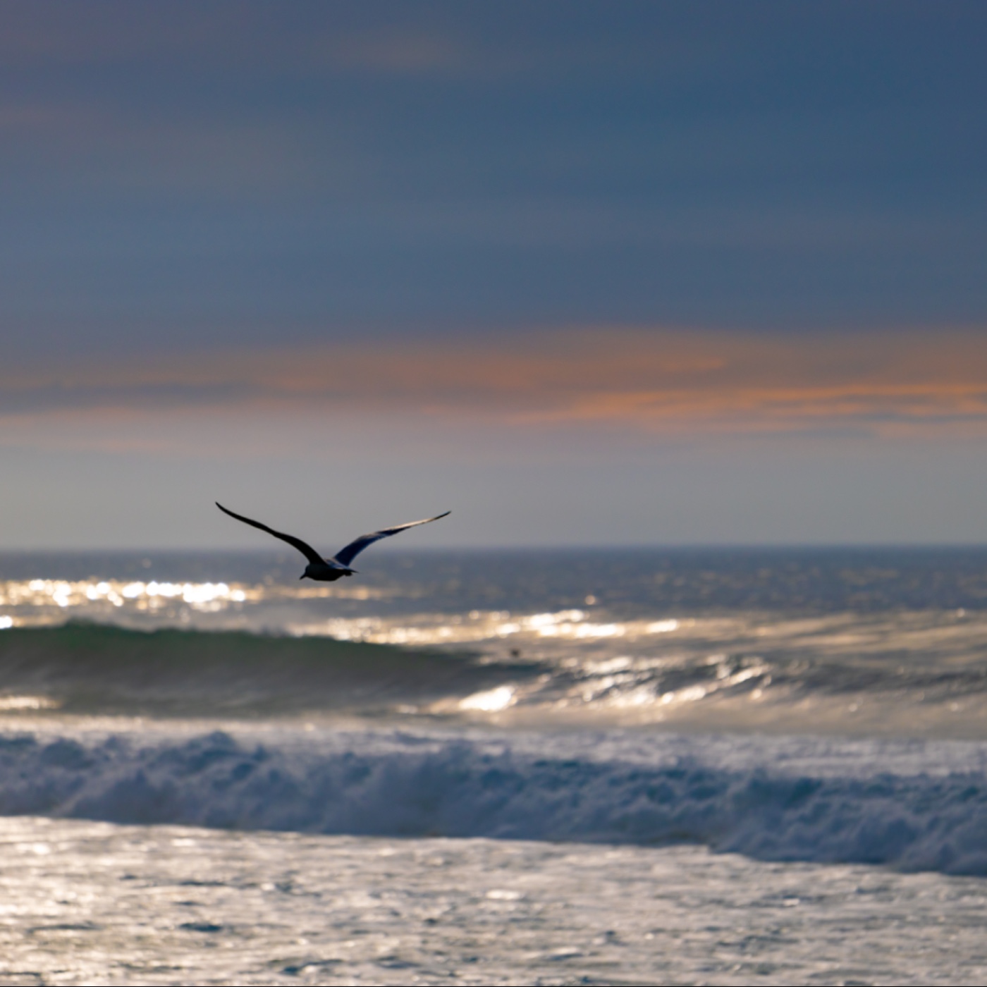 CEO的美學修煉 cover art