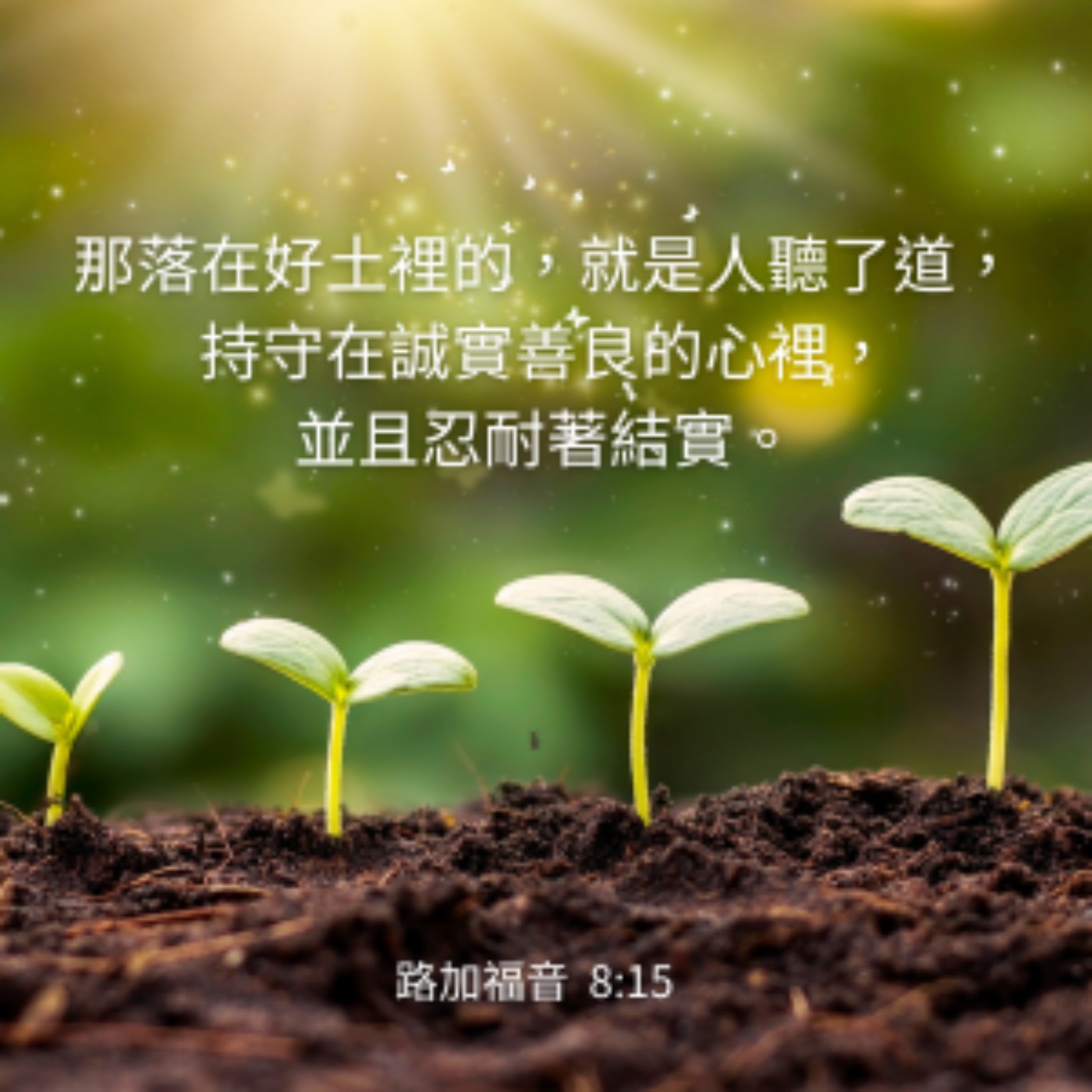 路加福音 8:1-15 episode artwork