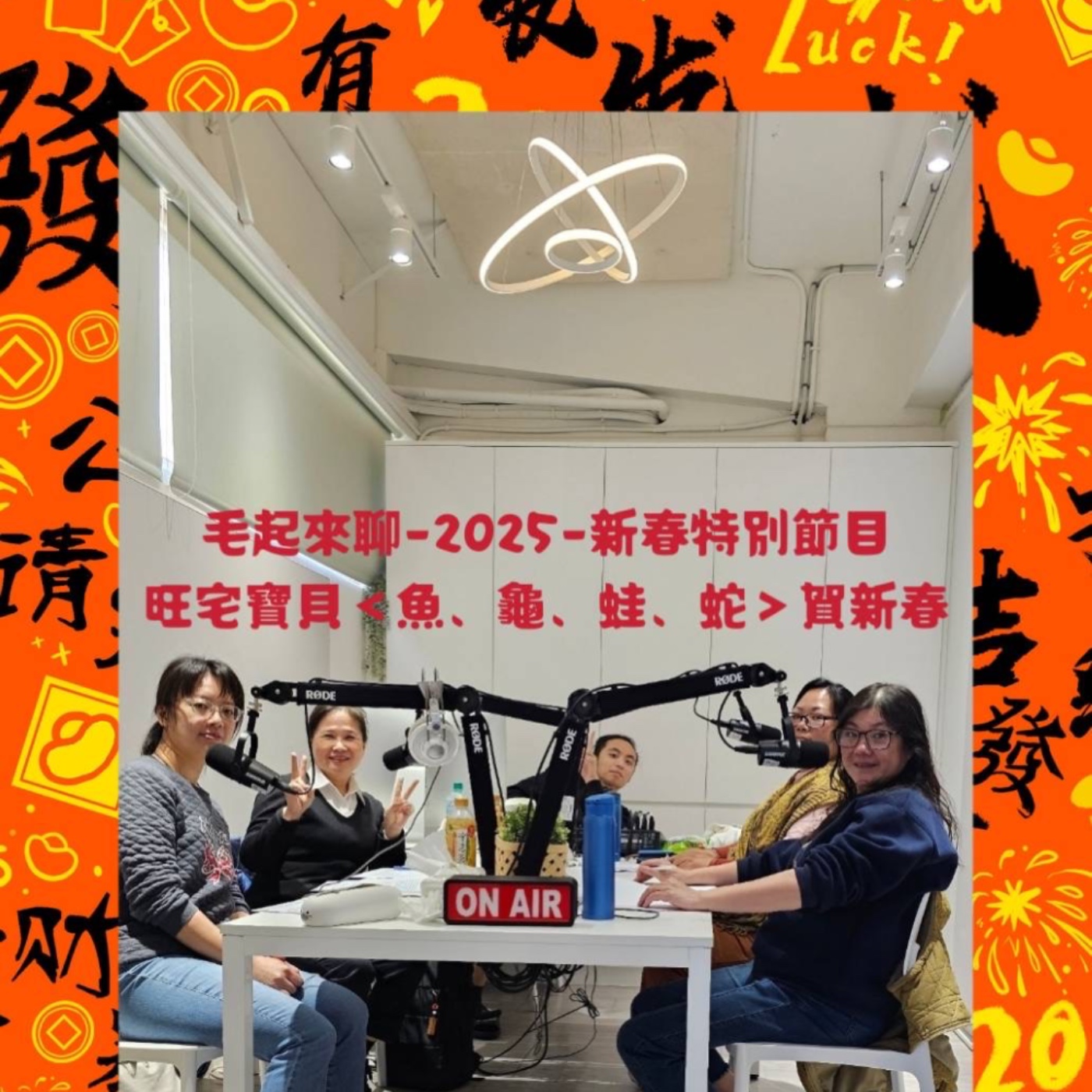 第8集 發發發「毛起來聊」新年特輯 episode artwork