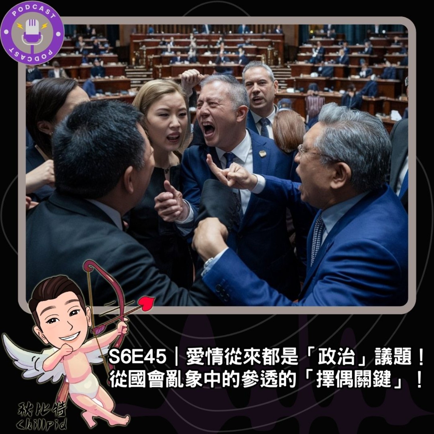 S6E45｜愛情從來都是「政治」議題！從國會亂象中的參透的「擇偶關鍵」！ episode artwork