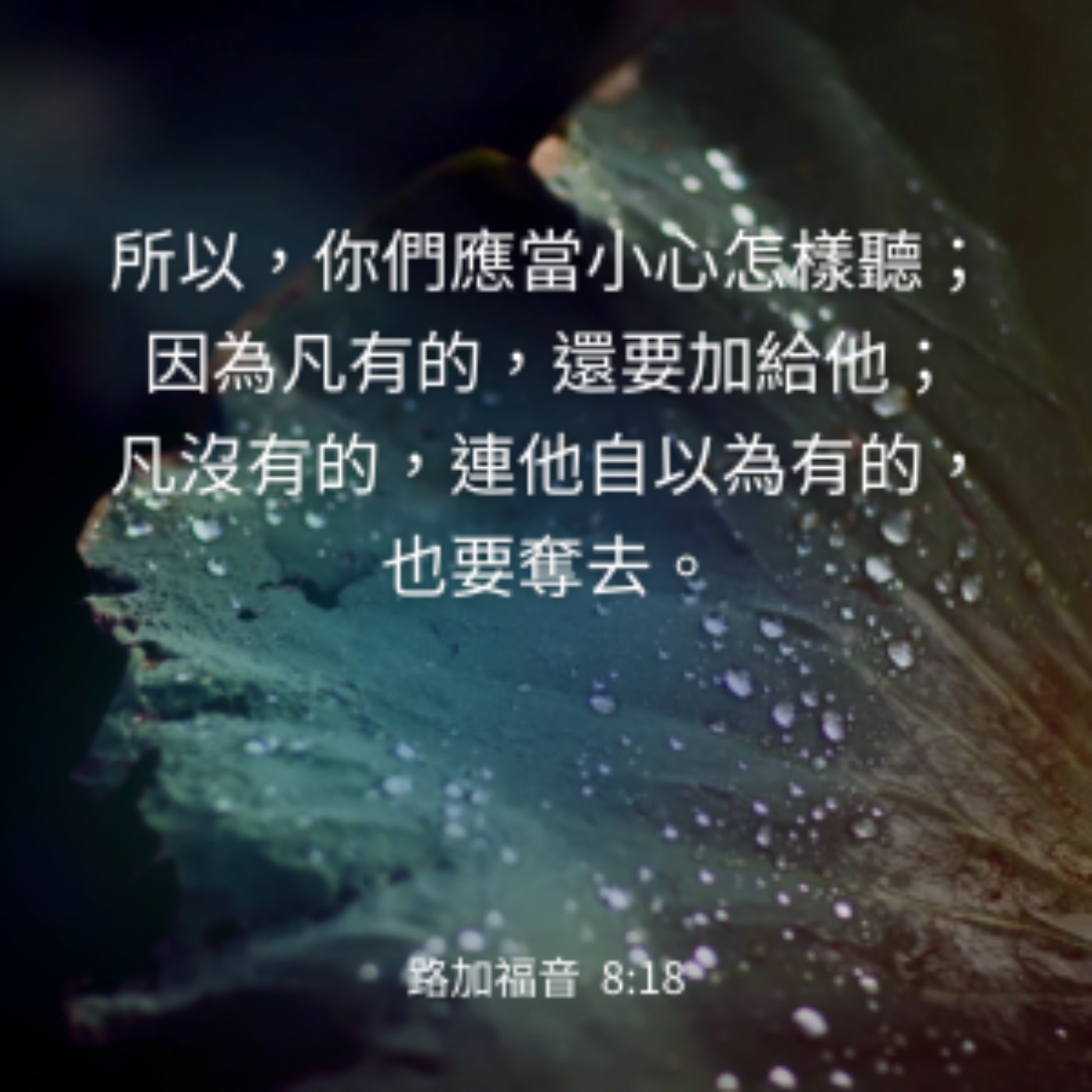 路加福音 8:40-48 episode artwork